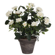 Plante Artificielle - Rosier Blanc - MICA